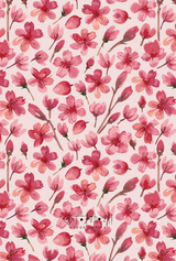 【浅煎り】Panama Hacienda Barbara Catuai Anaerobic Natural (100g)
