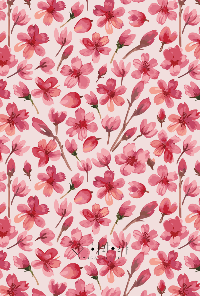 【浅煎り】Panama Hacienda Barbara Catuai Anaerobic Natural (100g)