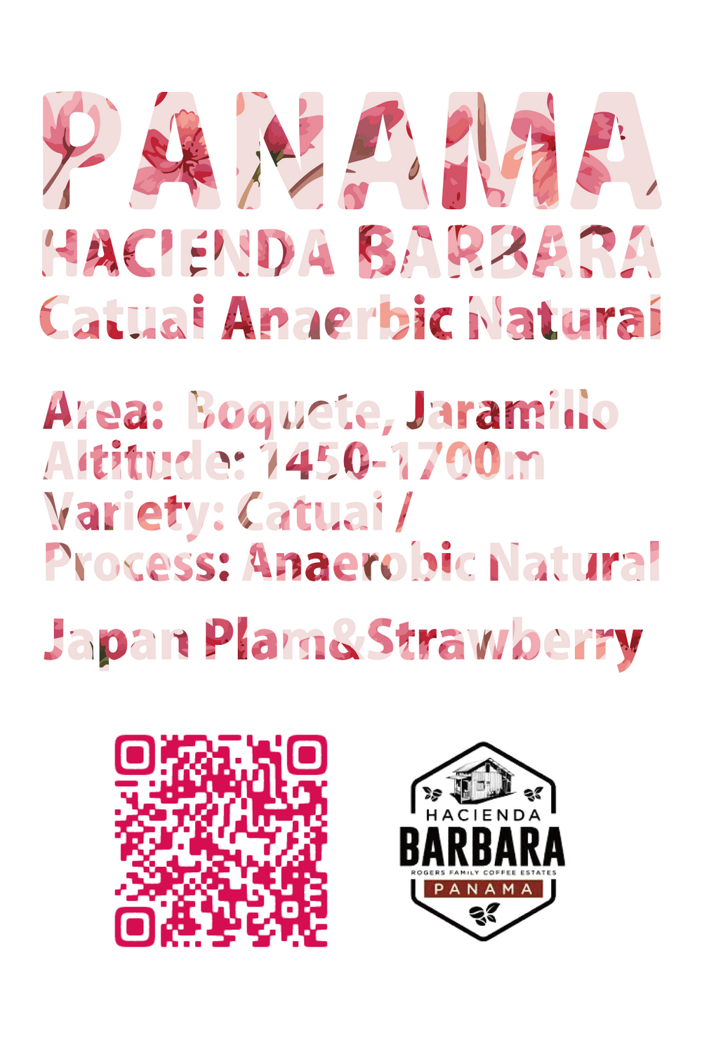 【浅煎り】Panama Hacienda Barbara Catuai Anaerobic Natural (100g)