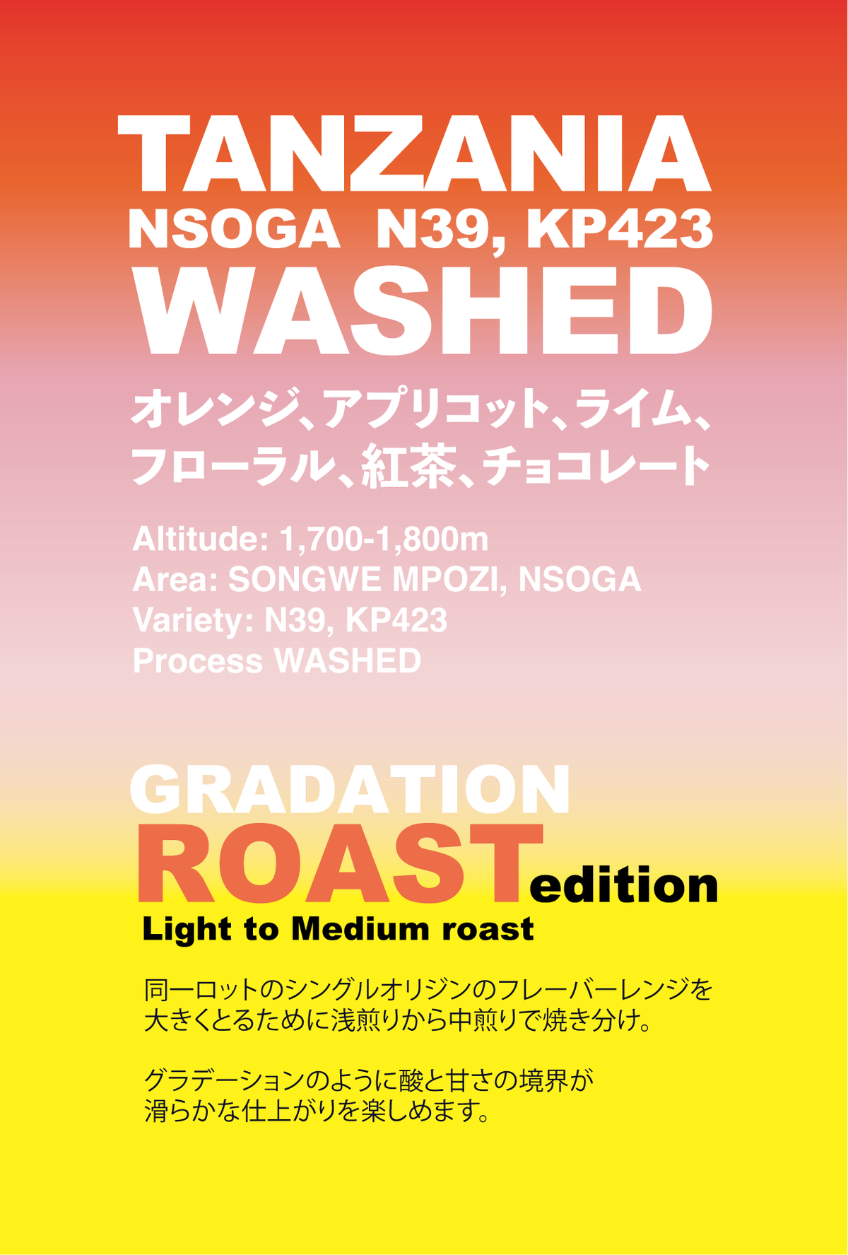 GRADATION RAOST】タンザニア ンソガ ンボジ ウォッシュド/TANZANIA