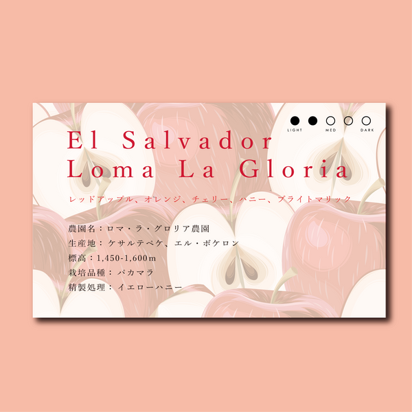 【浅煎り】エルサルバドル　ロマ・ラ・グロリア　パカマラ　イエローハニー / El Salvador Loma La Gloria Yellow Honey