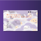 【浅煎り】ニカラグア　ラ・ウェラ　エチオサル/ Nicaragua La Huella Ethiosar Washed