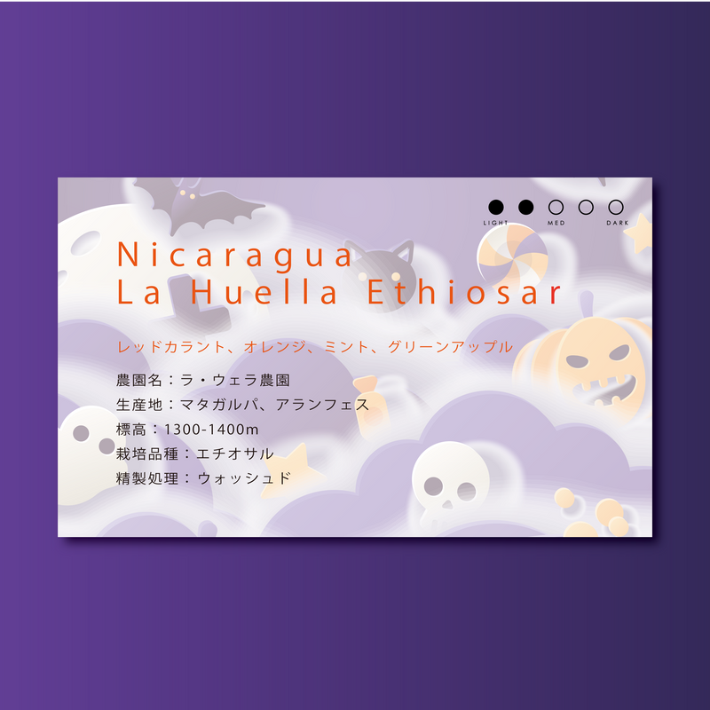 【浅煎り】ニカラグア　ラ・ウェラ　エチオサル/ Nicaragua La Huella Ethiosar Washed