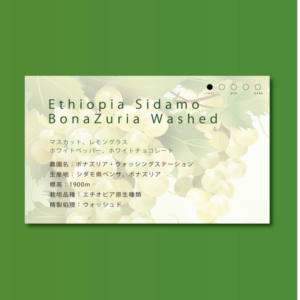 【浅煎り】エチオピア　シダモ・ベンサ　ボナズリア/ Ethiopia G-1 Sidamo Bensa Bona Zuria Washed