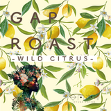 【GAP ROAST #1】WILD CITRUS -エチオピアの野生味溢れる柑橘感